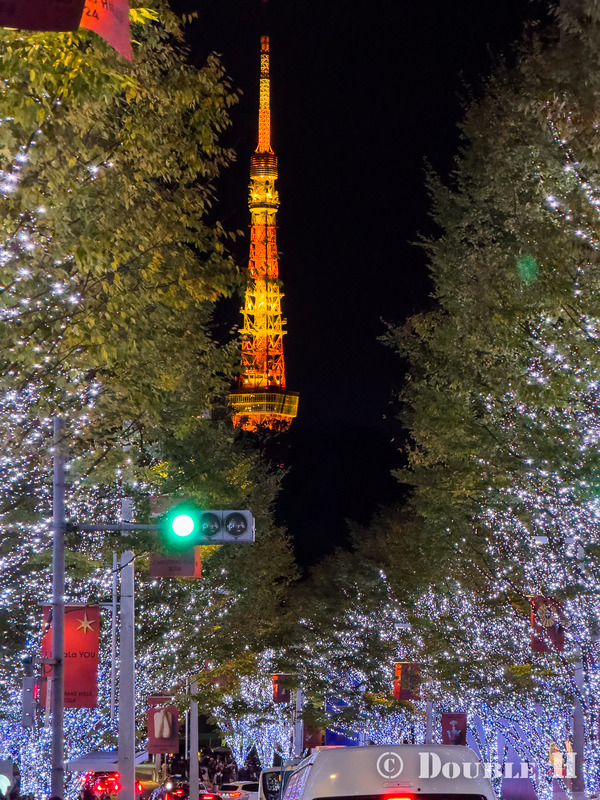 TediousPhoto20241126C