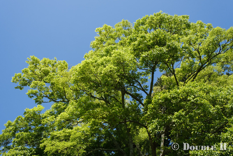 TediousPhoto20240513