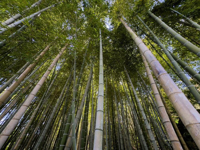 TediousPhoto20240607