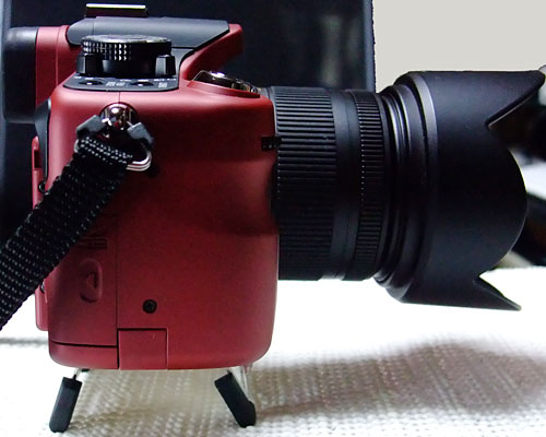 DMC-G1 on the Modopocket (2)