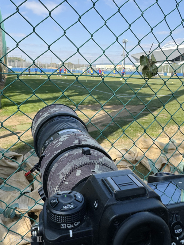 TediousPhoto20260205A