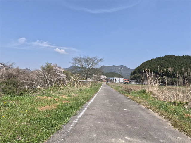 SakuraCycling2026HikamiKakogawaCapture09