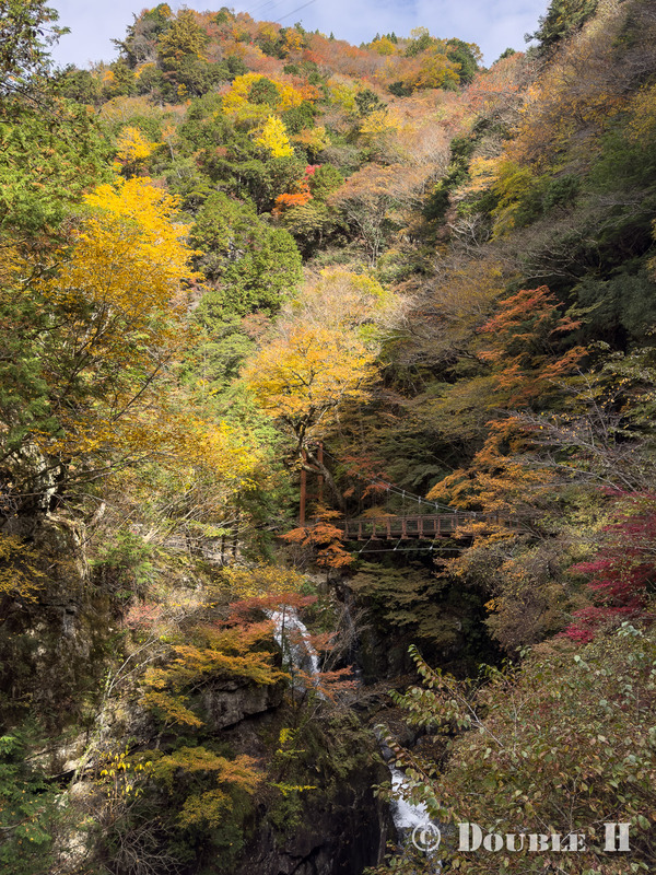 TediousPhoto20251127B