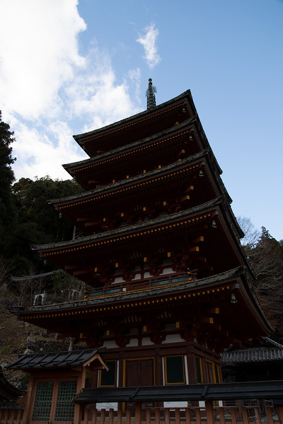 TediousDays20201201_01D5_2296