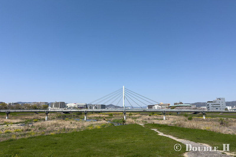 TediousPhoto20260419A