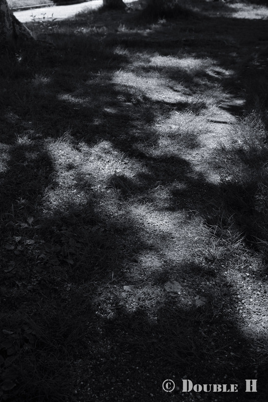 TediousPhoto20240517