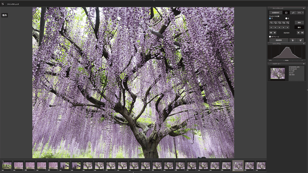 機材が変わっても写真整理のワークフローは変わらず Tedious Days More 3