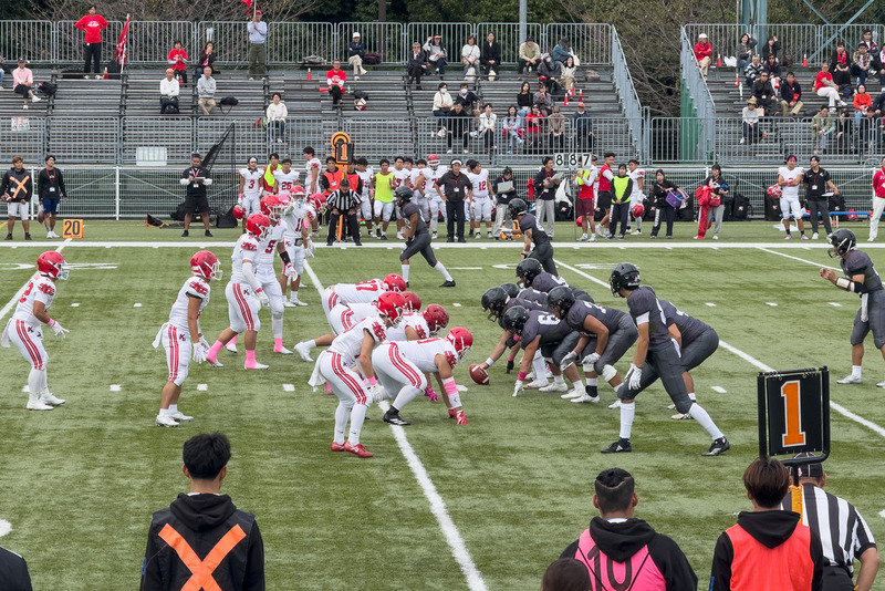 TediousPhoto20251028B