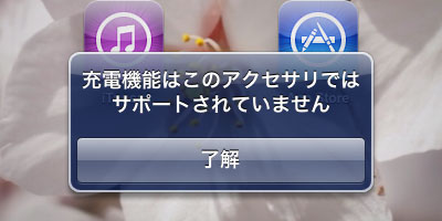 iPad-Charger-Cable4