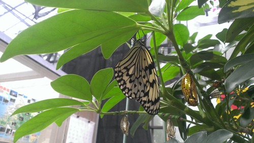 InfoBarA02_PhotoSample3