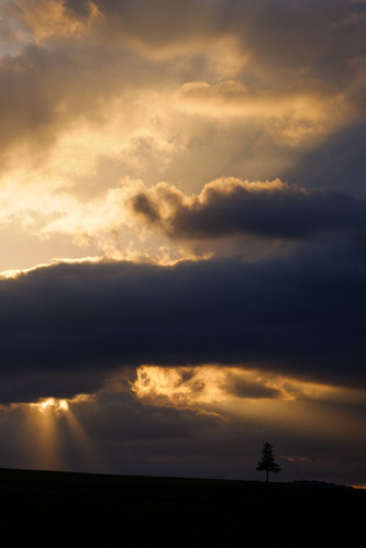 BlogUpload20140907_14_X-T1