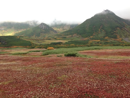 iPhone5_CameraSample2