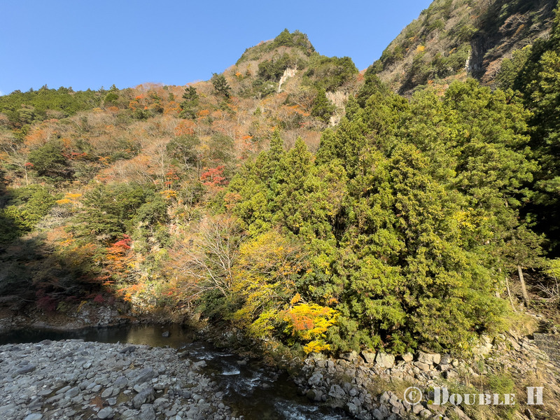 TediousPhoto20251127F