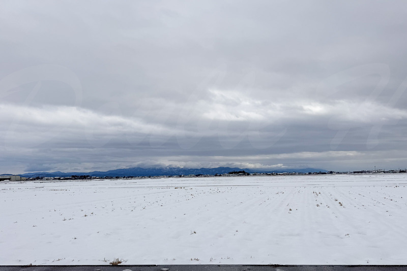 TediousPhoto20260130A