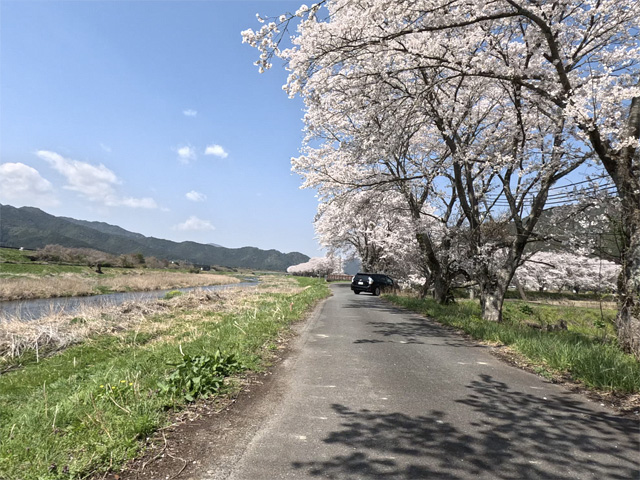 SakuraCycling2026HikamiKakogawaCapture16