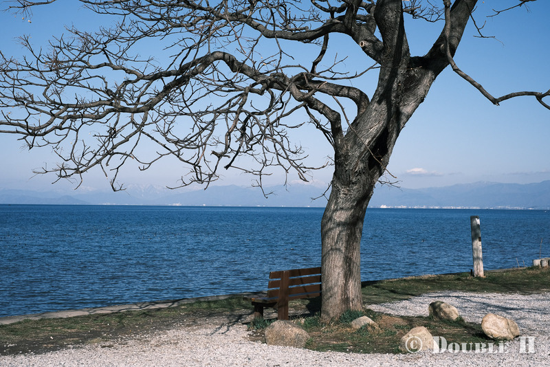 TediousPhoto20240106