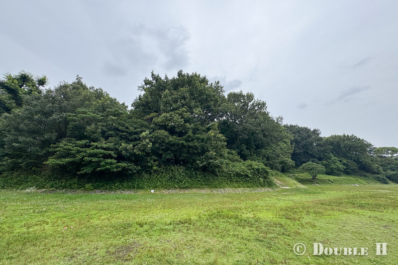 TediousPhoto20260717P