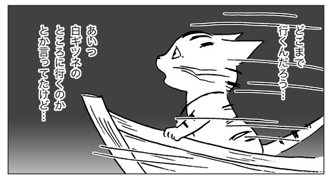白ギツネ22-3