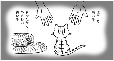 ねこ森3-13