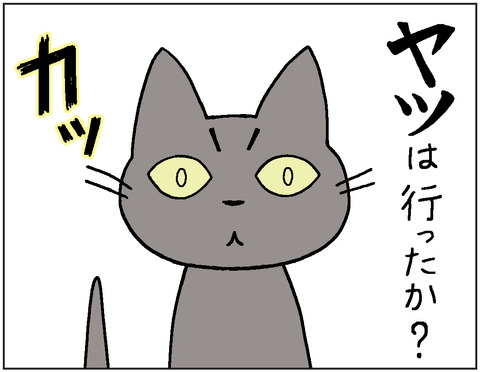 動物00419