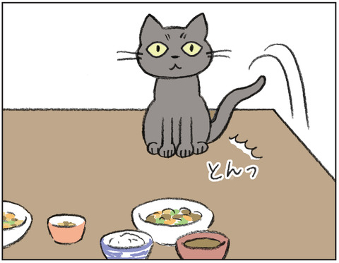 動物00431