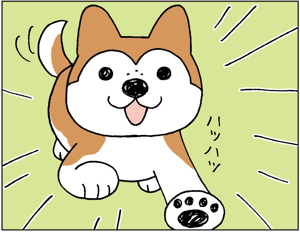 近すぎる うちの動物チーム イヌネコまんが 近すぎる うちの動物チーム イヌネコまんが