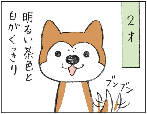 動物00484
