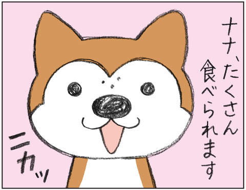 動物00497