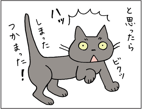 2016-0007