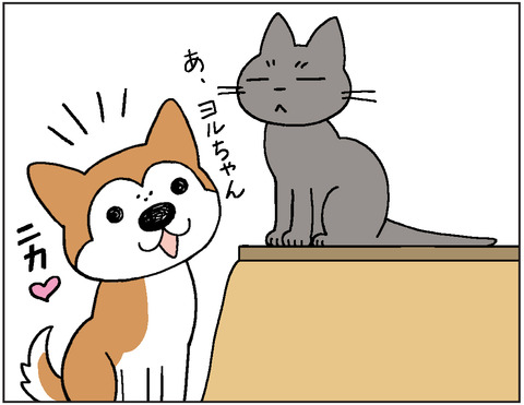 動物00423