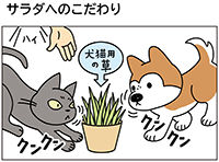 動物チーム47話-ss