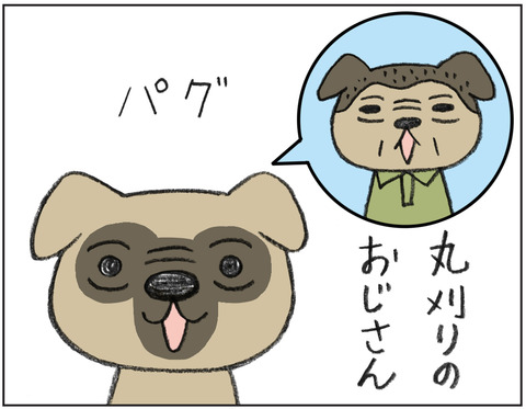 動物00510