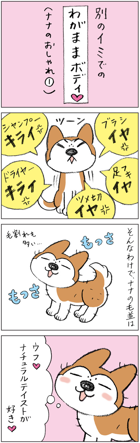 動物19-0166