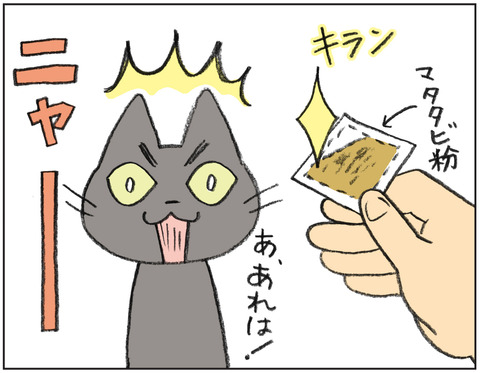 動物00513