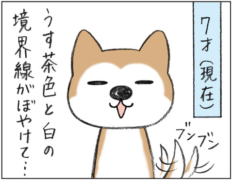 動物00485