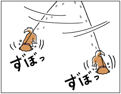 動物00415