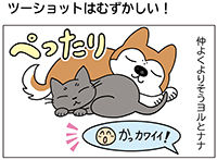 動物チーム46話-ss