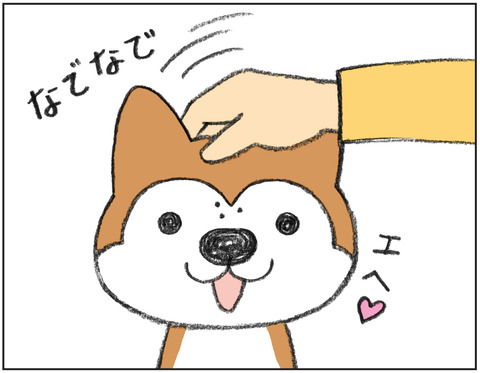 動物00505