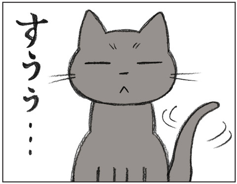 動物00434