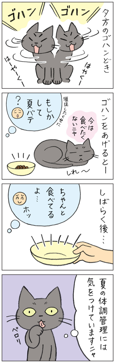 動物18-0144