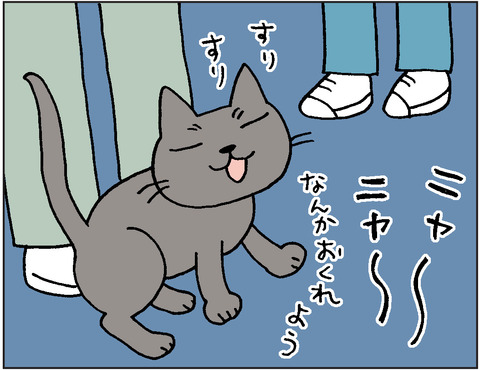 2016-0005