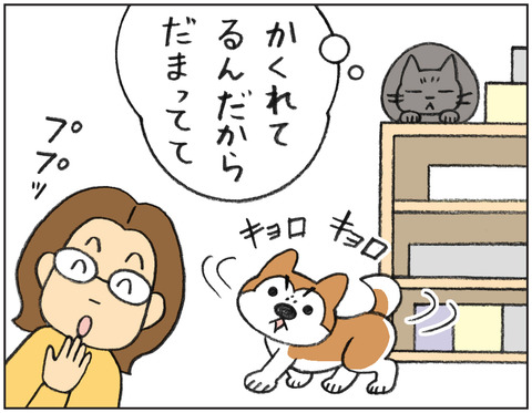 動物00548