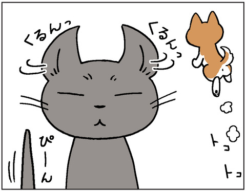 動物00418