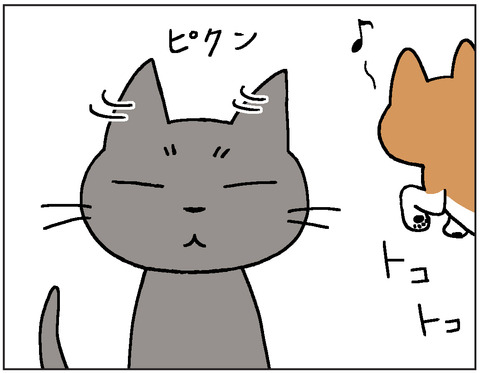 動物00417