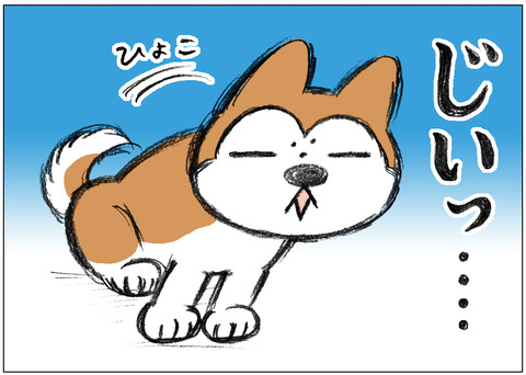 ワンショット28