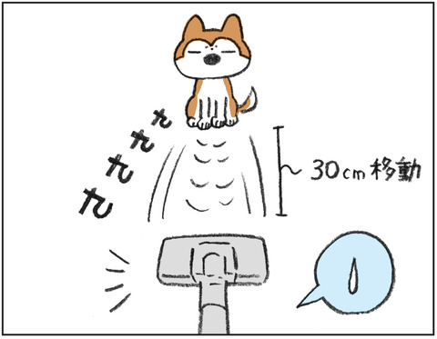 動物00440