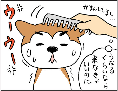 2016-0036