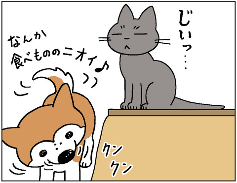 動物00421