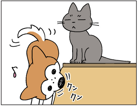 動物00422