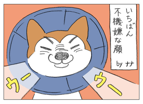 ワンショット15